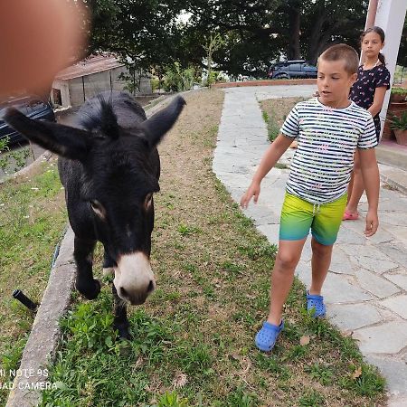 La Gallina Nel Castello Citr Oo9002-Beb Oo11 Albenga Exterior foto