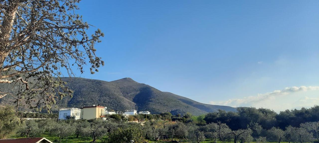 La Gallina Nel Castello Citr Oo9002-Beb Oo11 Albenga Exterior foto