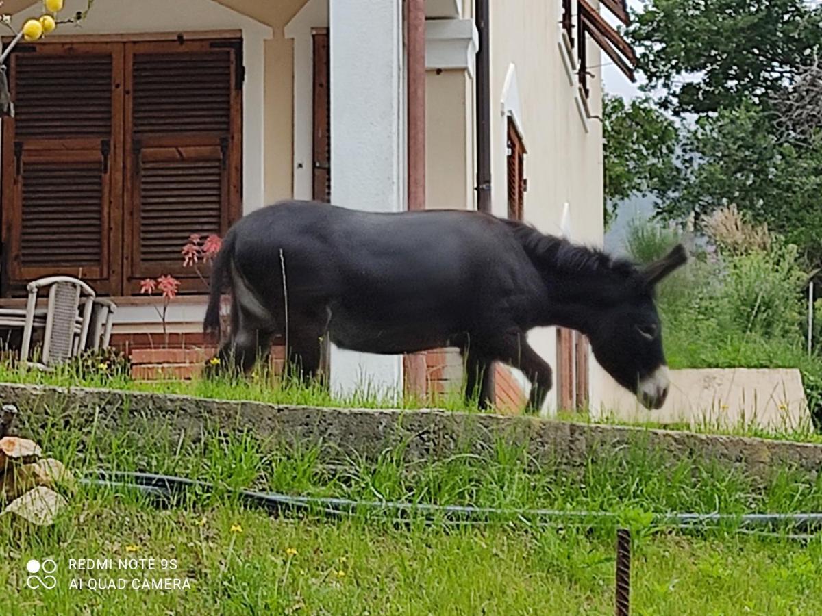 La Gallina Nel Castello Citr Oo9002-Beb Oo11 Albenga Exterior foto