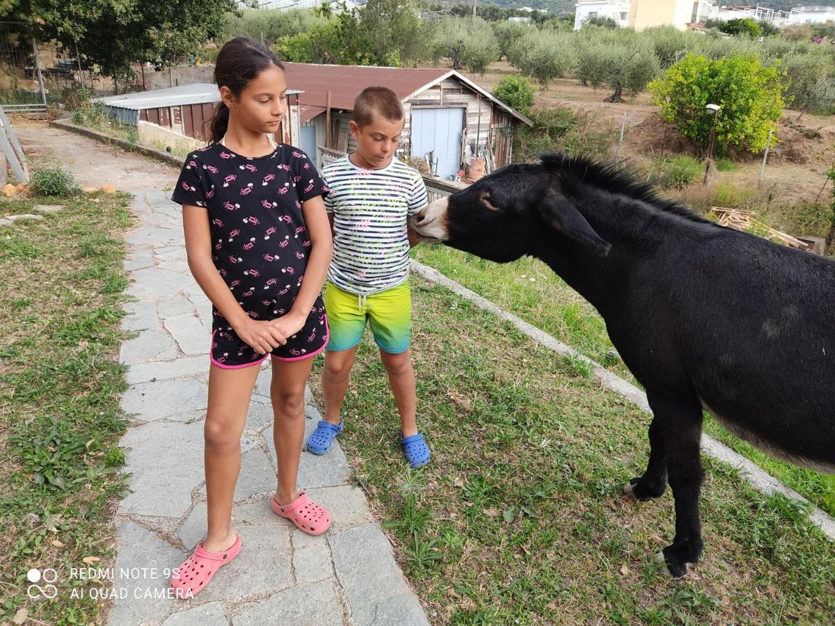 La Gallina Nel Castello Citr Oo9002-Beb Oo11 Albenga Exterior foto